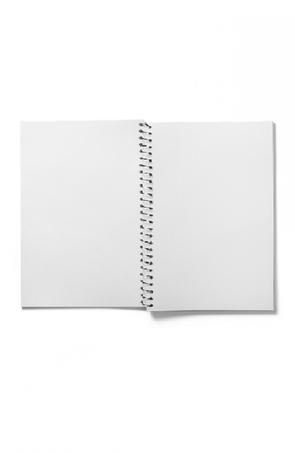 Journal